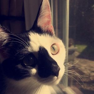 Meet your Posher, Jordan